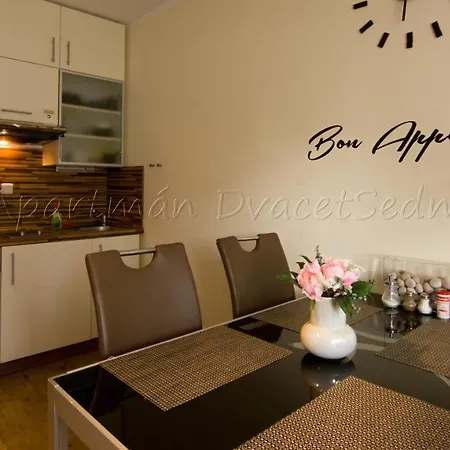 Apartment Dvacetsedm
