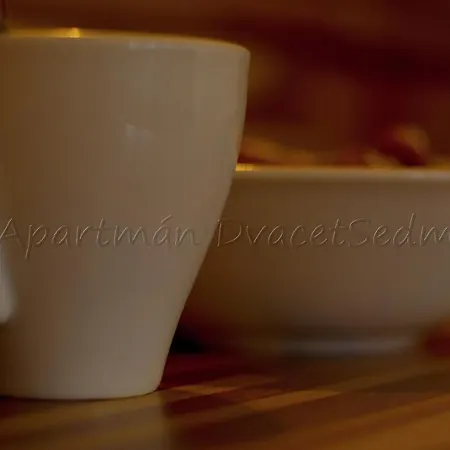 Dvacetsedm 아파트 *