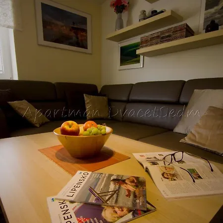 Apartment Dvacetsedm