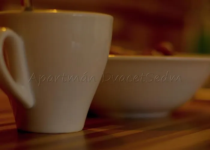 Dvacetsedm Apartmán *